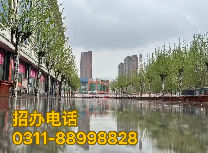 QQ截圖20240120171857.png QQ截圖20240120171857.png